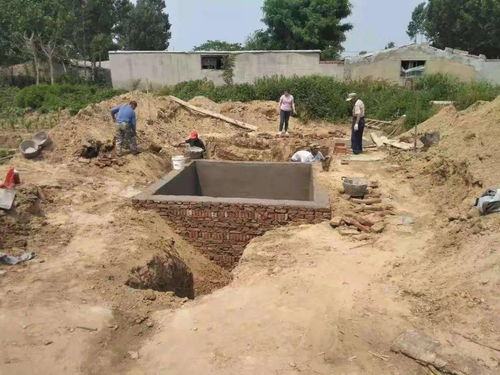 昌邑市柳疃镇扎实推进畜禽养殖粪污专项治理工作