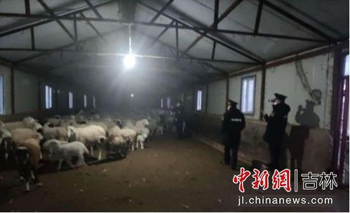 延吉市开展规模化畜禽养殖场专项检查 助力绿色畜牧业健康发展