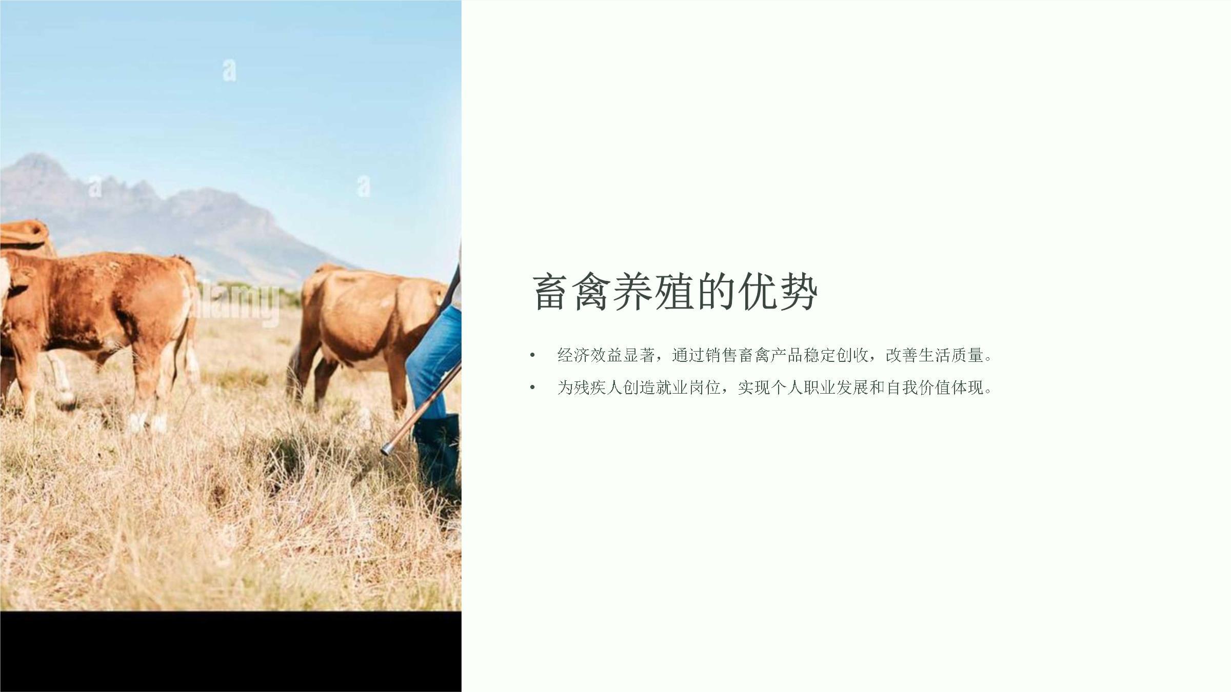 残疾人畜禽养殖培训课件 畜禽养殖