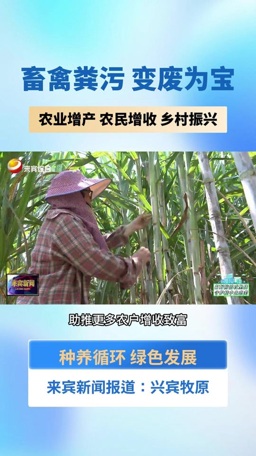 畜禽粪污困扰养殖大县